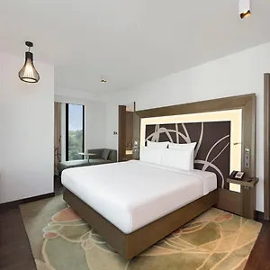 Ocean The Near Delhi Airport 4* New Delhi